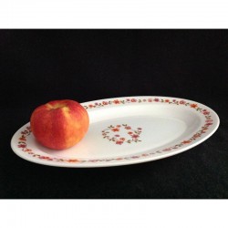 PLAT OVALE ARCOPAL