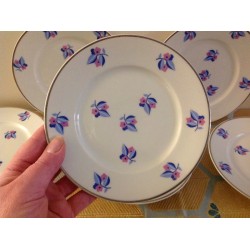 Lot 6 assiettes Dessert...