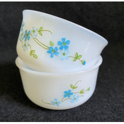 2 RAMEQUINS ARCOPAL "Myosotis"